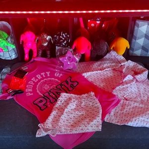 😍 Pretty In VS Pink Bundle